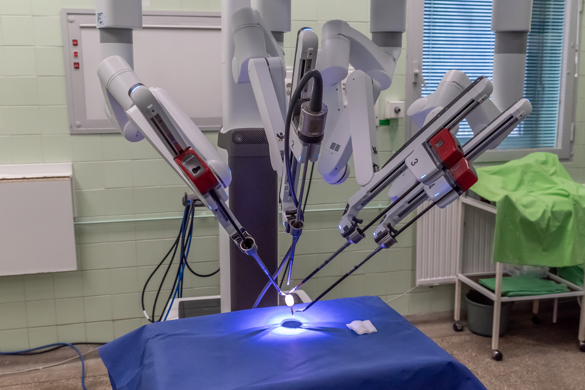 Dr. Zsolt Szepesváry demonstrated the possibilities offered by the surgical robot by peeling a grape and sewing its skin back on